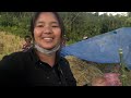 Harvesting Local Rice//Bohut Sallo baad Hajirah kaam kiya hai//