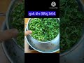 સુરતી ગ્રીન ઉંધીયુ રેસીપી surati green undhiyu recipe swati srasoi show gujarati