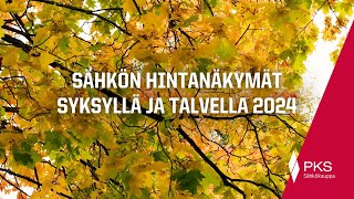 Sähkön hintanäkymät syksyllä ja talvella 2024