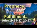 (Prophecy: Psalm 22:16) and (Fulfillment: John 19:34-37; 20:27) They Pierced His Hands and His Feet