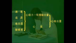 【高清重制】卫生部医学视听教材-生理学-SL014 心输出量的影响因素