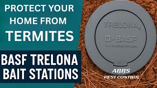 Protect Your Home from Termites with BASF Trelona Bait Stations | Expert Termite Control