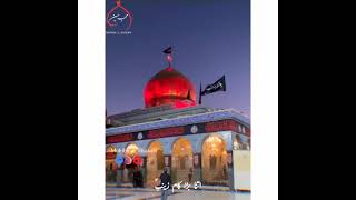 Bibi Zainab(sa) shrine status| meesum Abbas 2021 | Aap pe salam Zainab |  Shia Status |