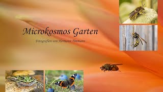 Mikrokosmos Garten (Bildvortrag) - Hermann Timmann - 2. Hamburger Insektenwoche