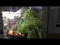 Jak zrobić GrowBox ze starego komputera + system szybkiego podlewania Jak zrobić GrowBox ze starego komputera + system szybkiego podlewania