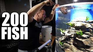 Adding Fish to aquarium and SECRET DIY tank build reveal!!