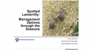 Spotted Lanternfly: Management Options through the Seasons