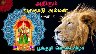 ஆலமூடு அம்மன், அதிரும் பூக்குழி கொடை (பகுதி: 2)