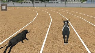 Bull Racing compitation ll Bull Rancing ll live racing ll Angry bull Racing ll #viral #games #1kview