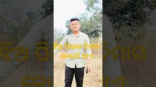 ଝିଅଙ୍କ ଦିମାଗ କୋଉଠି ଥାଏ || #song #funny #comedy #shortsfeed #trending #shorts #music #ownvoice