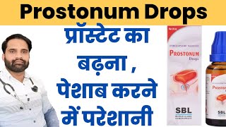 Prostonum drops uses in hindi | SBL prostonum drops