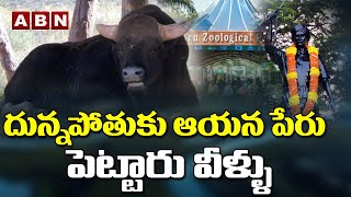 అడవి దున్న పిల్లకు కొమరం భీమ్‌ పేరు | Hyderabad Zoo Names Gaur Calf as Komaram Bheem | ABN Digital