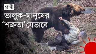 যে কারণে ভালুকের নাম মুখে নেয় না আলাস্কার আদিবাসীরা | Alaska Natives | Bear | News | Prothom Alo