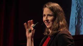 Biological Spareparts for the Human Body | Liesbet Geris | TEDxMechelen