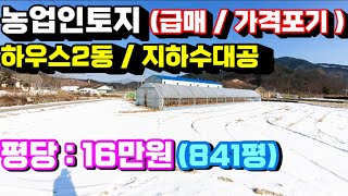 1549번)농사짓기 좋은땅/ 하우스2동/지하수대공/평당:16만원 급매처분(홍천부동산급매물)(홍천토지매매)