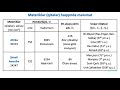 428 materiklər haqqında ümumi məlumat antarktida