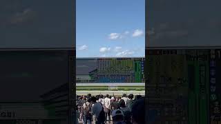 2023年6月3日土曜日阪神11R 鳴尾記念