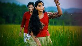 💕💕New Love couple Whatsapp Status Video  Malayalam movie love song Whatsapp Status Video❤️