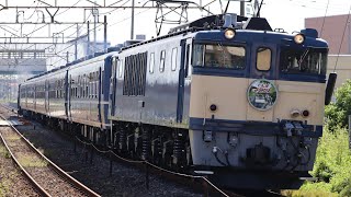 臨時快速SLぐんまよこかわ号　EF64-1053牽引で通過