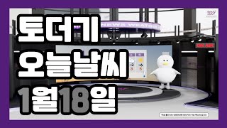 토더기와 함께하는 오늘날씨(feat.포그니)