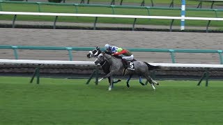 【ゴルシ産駒】2024 習志野特別 コスモブッドレア 横山武史【中山競馬場】