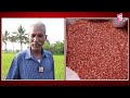 సహజ సిద్ధంగా పండించే నల్ల బియ్యం ఎర్ర బియ్యం natural farming benefits of red and black rice