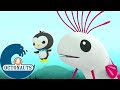 Octonauts - Le Régalec | Dessins animés pour enfants