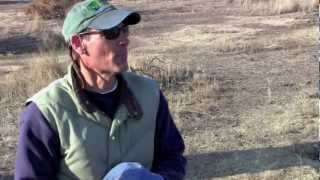 San Joaquin kit fox collaring with Dr. Brian Cypher
