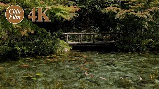 4K Moving paintings・Monet's pond-Japan Gifu 岐阜県にある動く絵画・モネの池