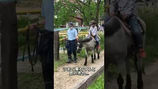 イッサと日進市にある愛知牧場に行ってきた🐮