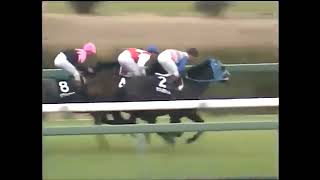 若葉ステークス　芝右2000m　ビワハヤヒデ　牡4　56　岡部幸雄　1993.3.20　　出走馬：ケントニーオー、グロリークロス、ガレオン、シュアリーウィン、セントミサイル、ダイナミックバード他