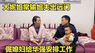 大妮常输外出，倔媳妇安排华强猪场家里两不误，让常输没后顾之忧【倔媳妇】