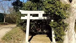 八千代お散歩動画 #100　「ぐるり八千代おさんぽＭＡＰ（上高野・下高野地区編）」上高野（北）コース「その１」