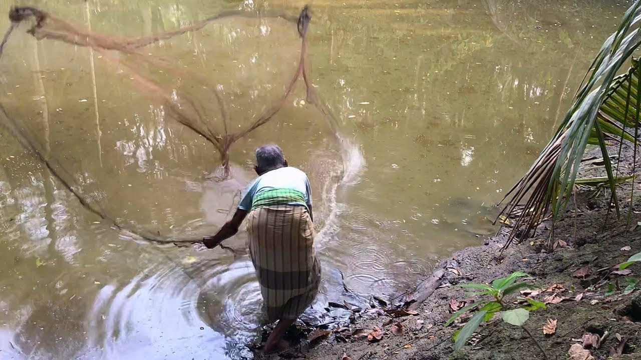 90 Year's Old Man Catches Huge Fish By Cast Net | This Old Man Cast Net ...