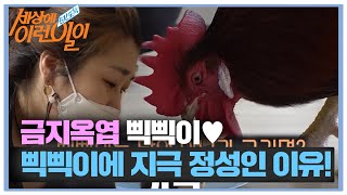 반려 닭 삑삑이 엄마, 삑삑이에게 지극 정성인 이유 공개♥ㅣ순간포착 세상에 이런 일이(Instant Capture)ㅣSBS Story