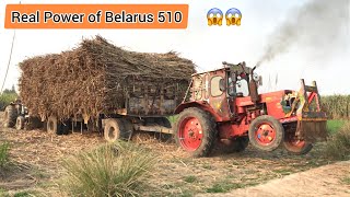 Real Power of Belarus 510 and Ford 4600 Fail to Pull out Trailer | Belarus Tractor Power