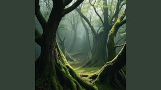 Where Secrets Lay