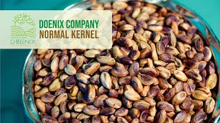 Doenix Normal Pistachio Kernel - High Quality at The Best Price