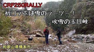 【CRF250RALLY】初コラボは雪のラ－ツー / 吹雪の玉川峡