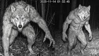 New Trail Cam Footage Captures SCARY Cryptid Creatures!