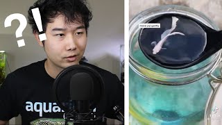 BETTA FISH IN ENCLOSED ECOSPHERE?! | Fish Tank Review 94