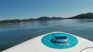 Stretnutia so zvieratami na paddleboarde