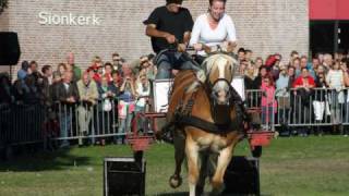 Paardenmarkt Ameide 2009