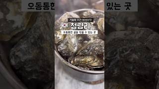 청량리시장 경동시장 굴찜 고흥아줌매 오통통한 굴을 맛보는 줄서서먹는 맛집 #청량리경동시장 #경동시장맛집 #석화 #굴찜 #청량리맛집