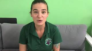 About PACCC: Tips On How to Become a Certified Pet Care Professional