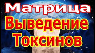 Сильнейшая Матрица Выведение Токсинов Просто Послушайте 5 минут.