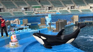 Playtube Pk Ultimate Video Sharing Website