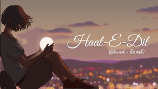 Haal-E-Dil Mera | SLOW + REVERB | sanam Teri Kasam movie song