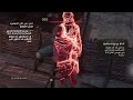 تختيم اساسن كريد ميراج 13 حل لغز موقع التنقيب assassin s creed mirage