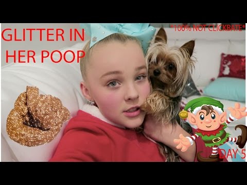MY DOG POOPED GLITTER! - Vlogmas day 5! MY DOG POOPED GLITTER! - Vlogmas day 5!